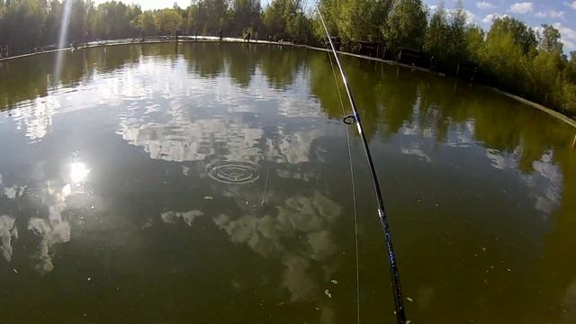 Рыбалка в Фишпарке Алмазово