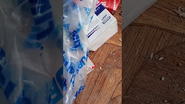 Домашний мастер