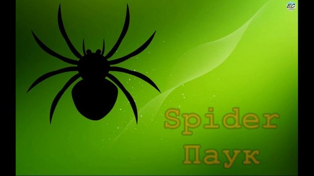 Тема 