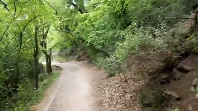 Царская тропа. Ливадия. Крым