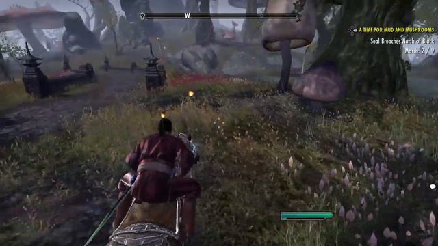 The Elder Scrolls Online: Tamriel Unlimited_