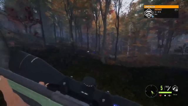 1 Hour Of All My Videos #callofthewild #cotw #hunting #subscribe