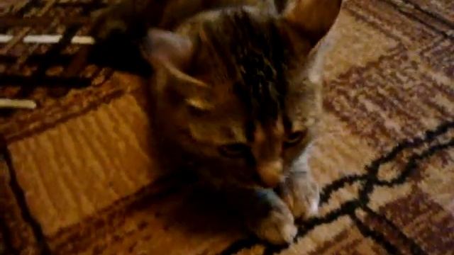 B21907d832c23843de1d17956022e325