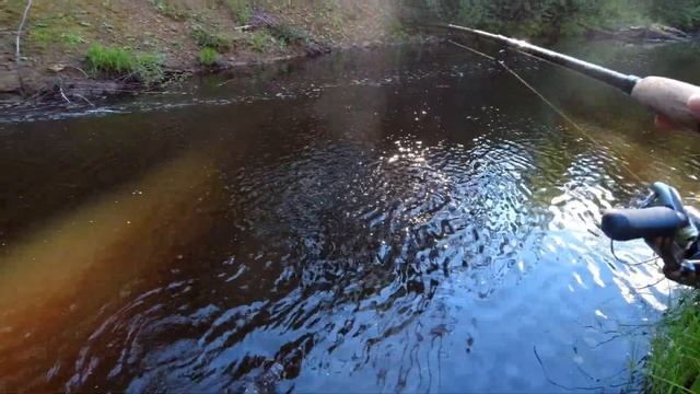 Рыбалка на таежной реке/Хариусы/Ленок/Поход