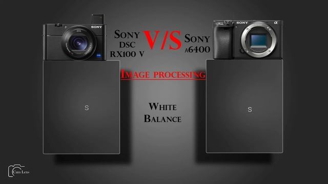 Sony DSC RX100 V Vs Sony α6400