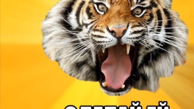 Как делать предложение девушке