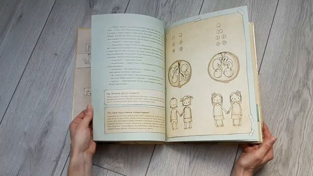 Dca0e8ce5e37997657552a9a37387458