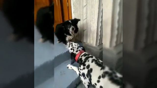 9851641d906c9ef54dc584fbb915790b