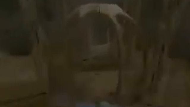 Schizm II: Chameleon - Trailer CZ