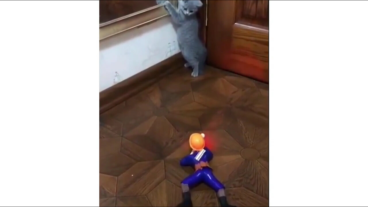 9d52bbdc9ab7f4b183d1d5bbac18469c