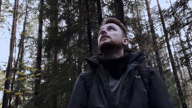Снято на iPhone 11 Cinematic 4K FOREST