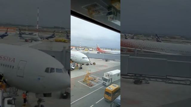 Аэропорт Шереметьево зона посадки цены на еду