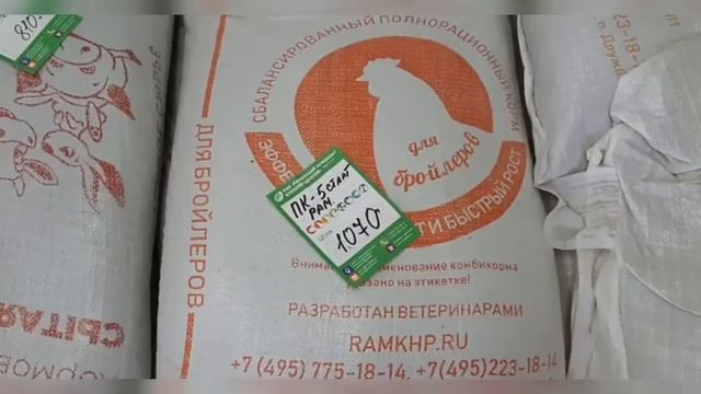 0583c69937cf321c7a09949fcb629825