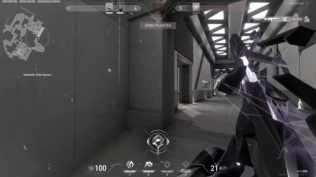 Hazetage VALORANT Special