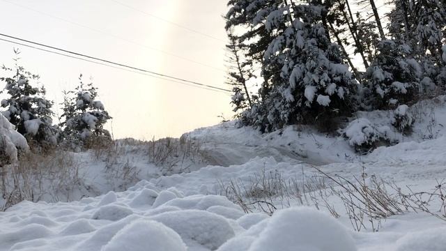 2003 Ford Expedition winter off roading