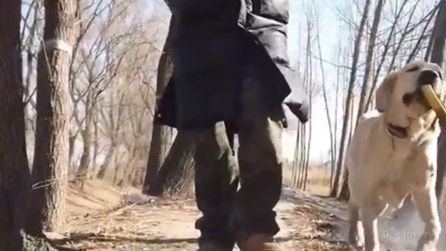 Labrador Song || Hancock Song Ft. Dino James ||  Dino James || Part 2