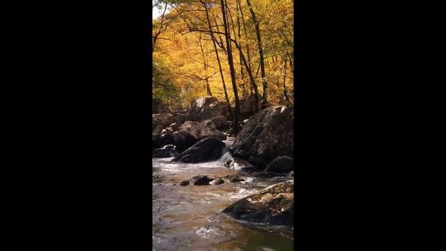 Relaxing Piano Music I Water Sound  I  Sleep Music  I  Meditate