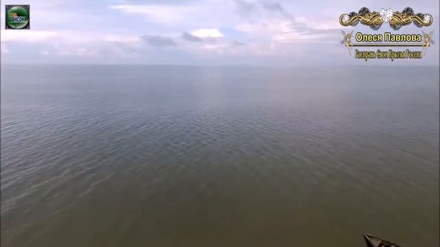 Олеся Павлова 