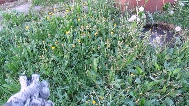 14 Индустриальная красота