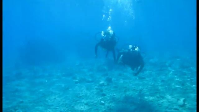 Canon D10 Underwater Video - Best Quality Ever אביעד זמיר