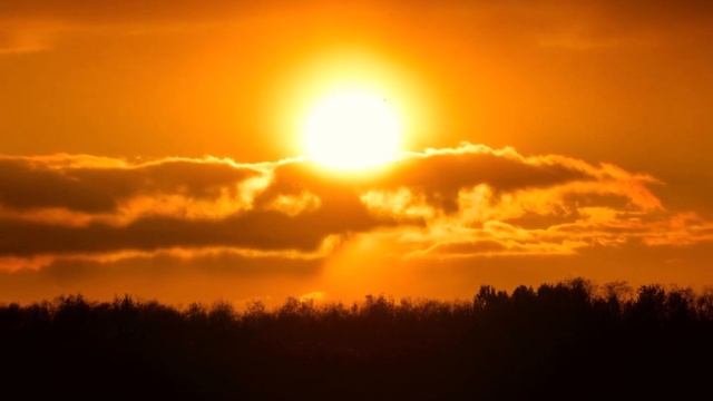 1bc50f16893fd7559fe3ebdeebd46b6a