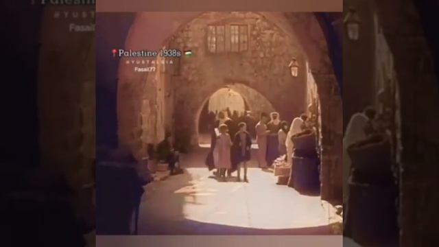 17 января 2024 г.