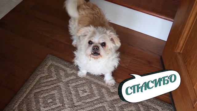 Dc3734ebbe1e80d4d883e1d1446fd467