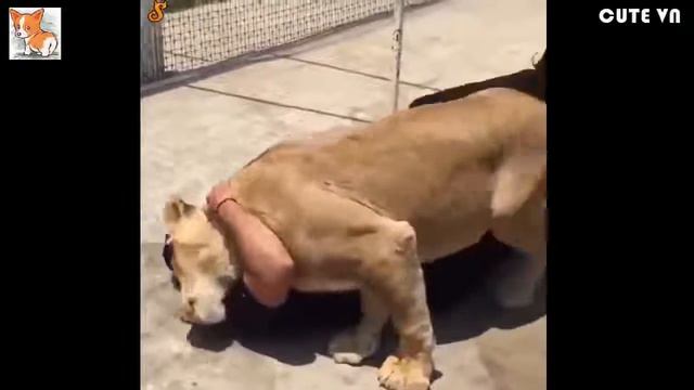 A0b86250eaf2e4d7f39a6b0784dd1c65