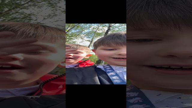 $прикольное видео