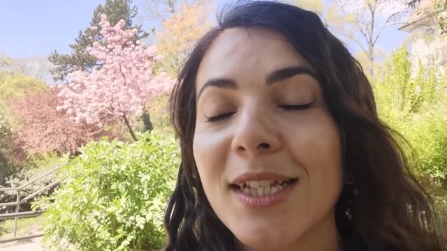 #der #die #das Род слов ещё проще. Окончание -sch  #genus #fall #kasus #artikel #gender #deutscheas