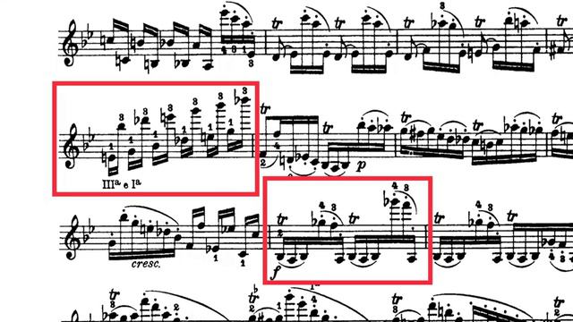 Paganini Caprice No.10, Sharing My Thoughts, Wang Liang Violin (帕格尼尼演奏心得，隨想曲第十課，王亮小提琴）