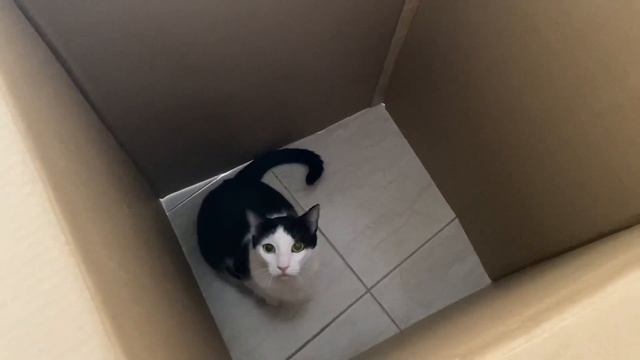 ОБМАН В МАГАЗИНЕ ТЕХНИКИ?КУПИЛИ МОРОЗИЛЬНУЮ КАМЕРУ// ЗАКУП ПРОДУКТОВ