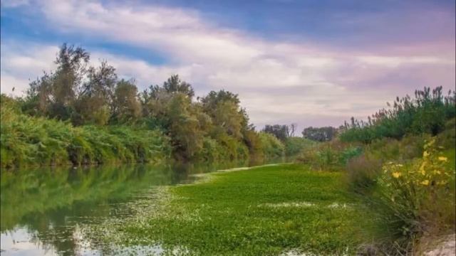 3 Julio 2019-Santo Tomás Apóstol-Jn 20, 24-29-Dichosos Los Que Creen Sin Haber Visto.