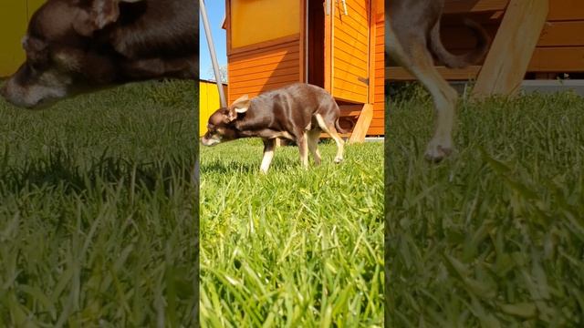 1a5f8d49d42ff38e1656c8bed259c136