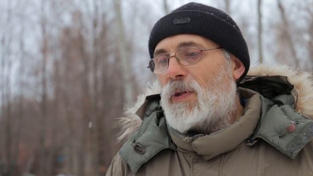 Зимовка пчел