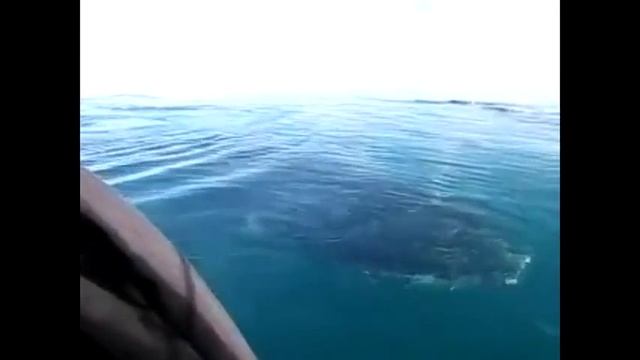 Интересное!