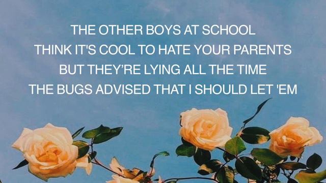 Boys Will Be Bugs - Cavetown Zer0 Karaoke