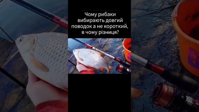 длина поводка имеет значение!