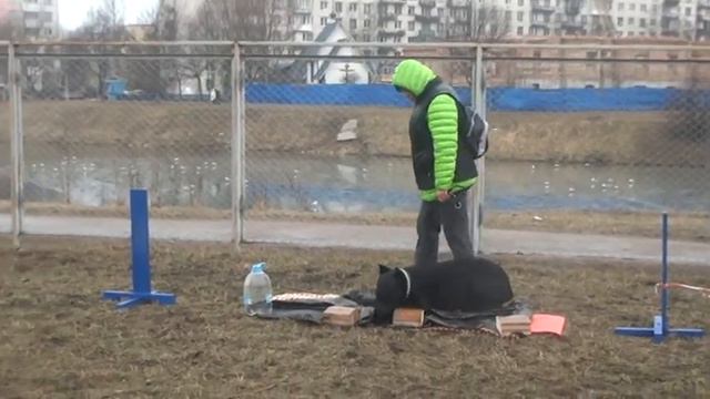 508f3616c2d6a08b784733f6e29d328b