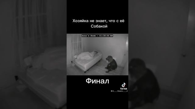 90bc986c631ae29a9718a54509e747c1