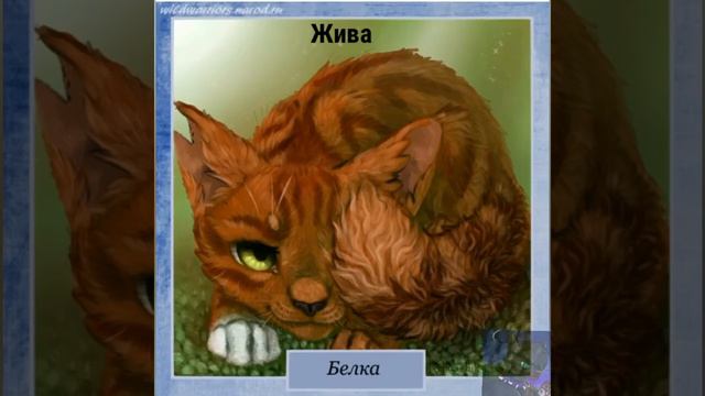 Смерти и жизни Котов-воителей 1| Грозовое племя