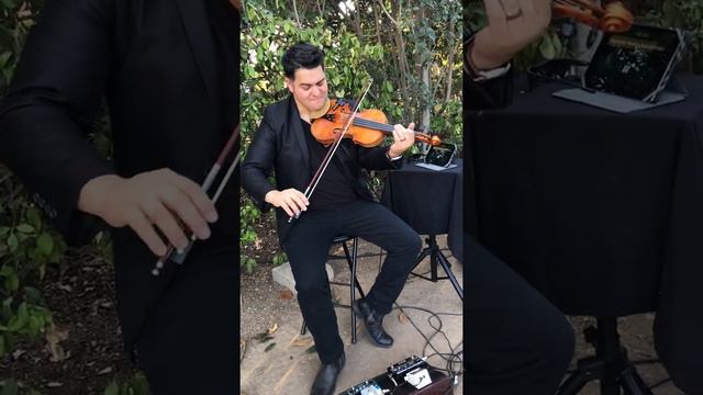 OMG: Contemporary/Modern Solo Violinist (Mathias)