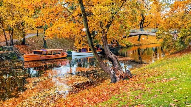 Божественная музыка трогает сердце! Хочу слушать вечно! Отличная музыка Сергей Грищук #60