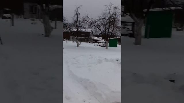 Начинаем копать колодец в шатурском районе