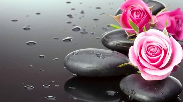 A3007aa17b52cbd59cc8b0f39911a677