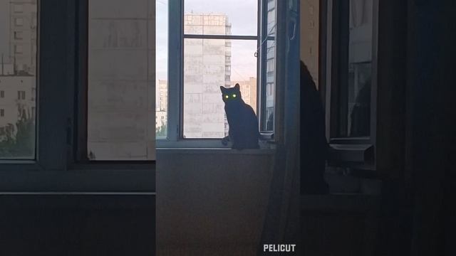 0843398c1725a2369b3ddab745bde34f