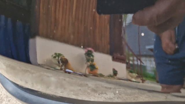 Off-Road Испытания