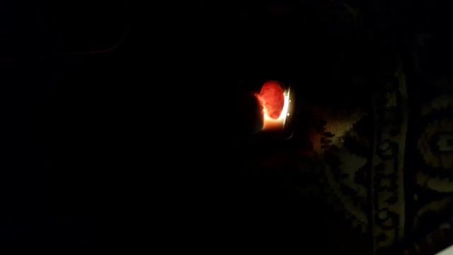 Движение малыша эублефара в яйце