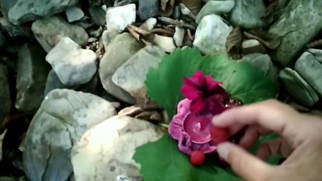 9f5c8ec4e460579d3e45b98d8a9f55a1