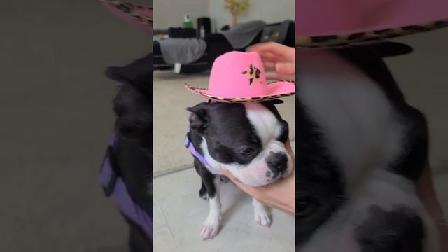 There's A New Sheriff In Town